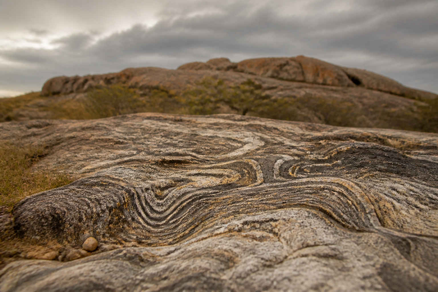 The tiny patches of Earth that never spent a single day underwater